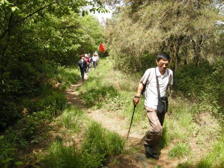 dscn8138.jpg