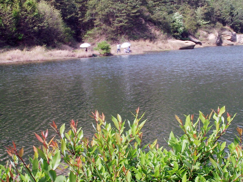 dscf8148.jpg