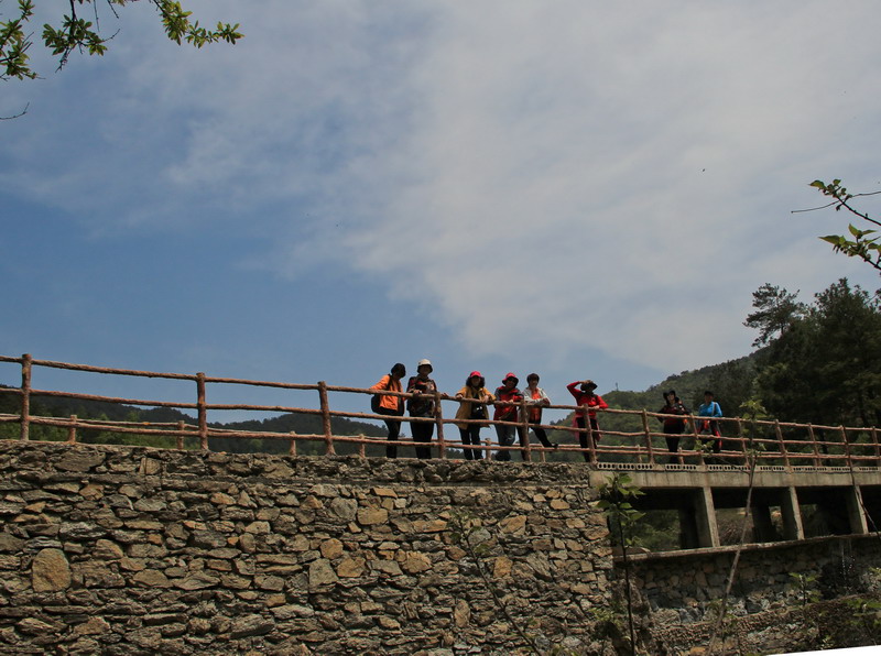 img_1678_СС.jpg