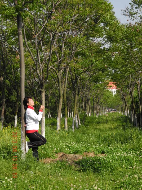 dscn6221.jpg