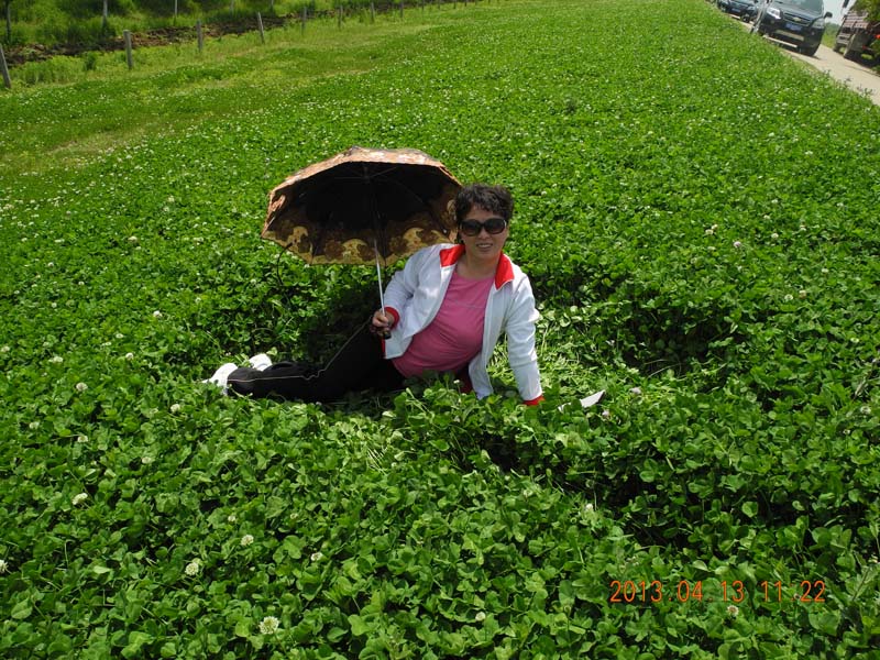 dscn6249.jpg