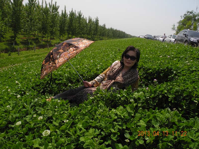 dscn6251.jpg