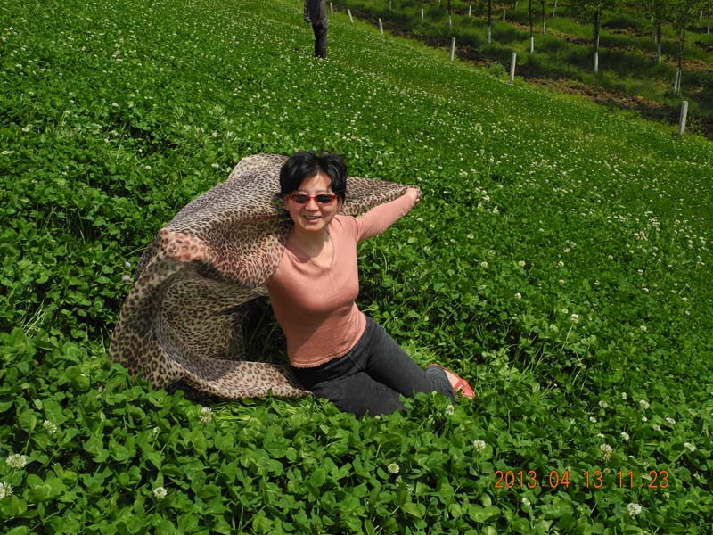 dscn6256.jpg