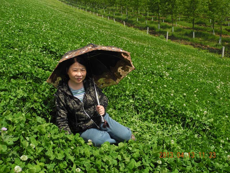 dscn6254.jpg