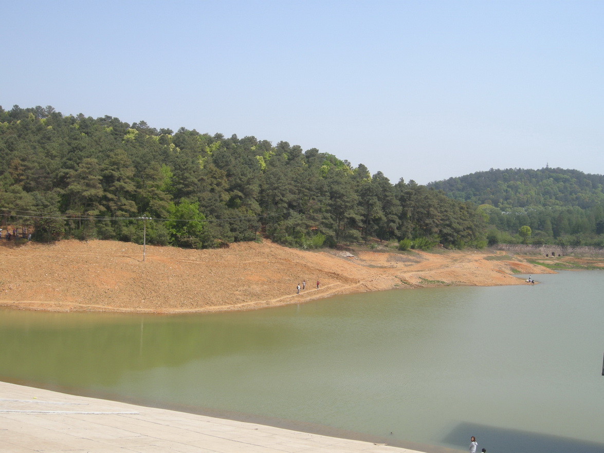 dscn8146.jpg