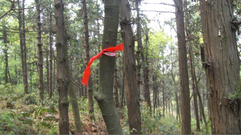 116.jpg