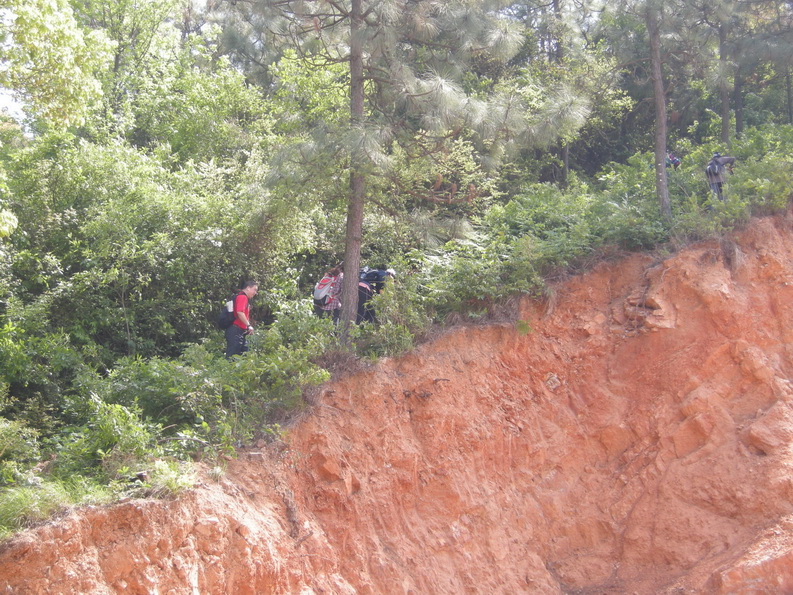 dscn8151.jpg