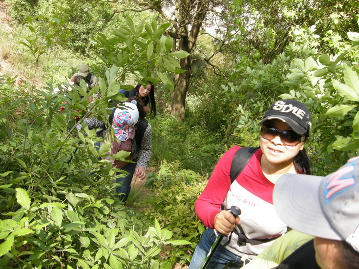 dscn8155.jpg