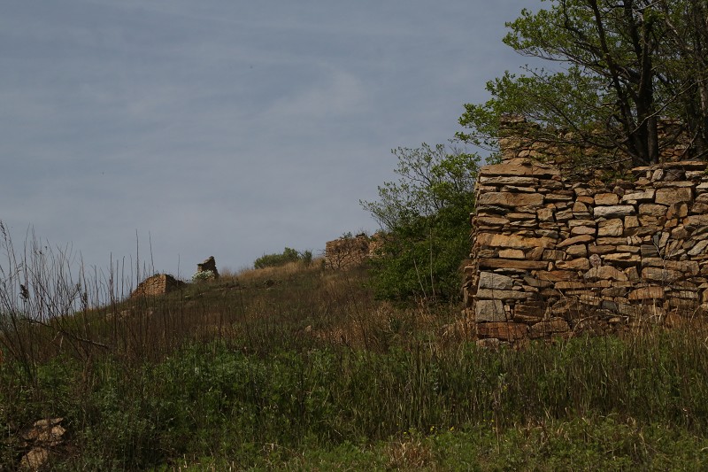 do3a4188_Ŀѹ.jpg