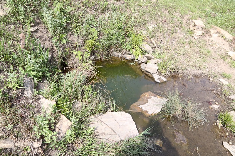 do3a4209_Ŀѹ.jpg