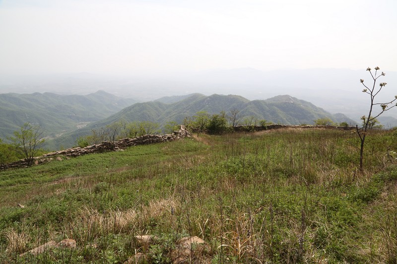 do3a4214_Ŀѹ.jpg
