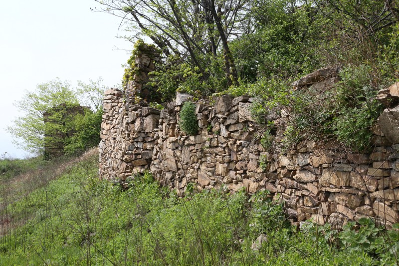 do3a4224_Ŀѹ.jpg