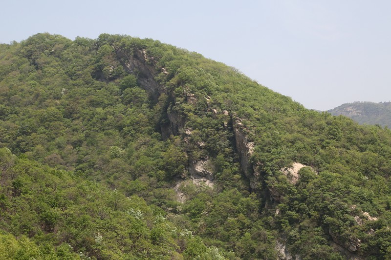 do3a4127_Ŀѹ.jpg