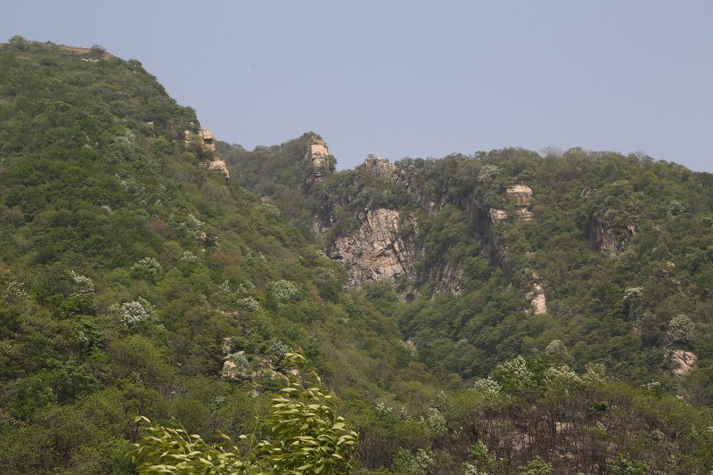 do3a4125_Ŀѹ.jpg