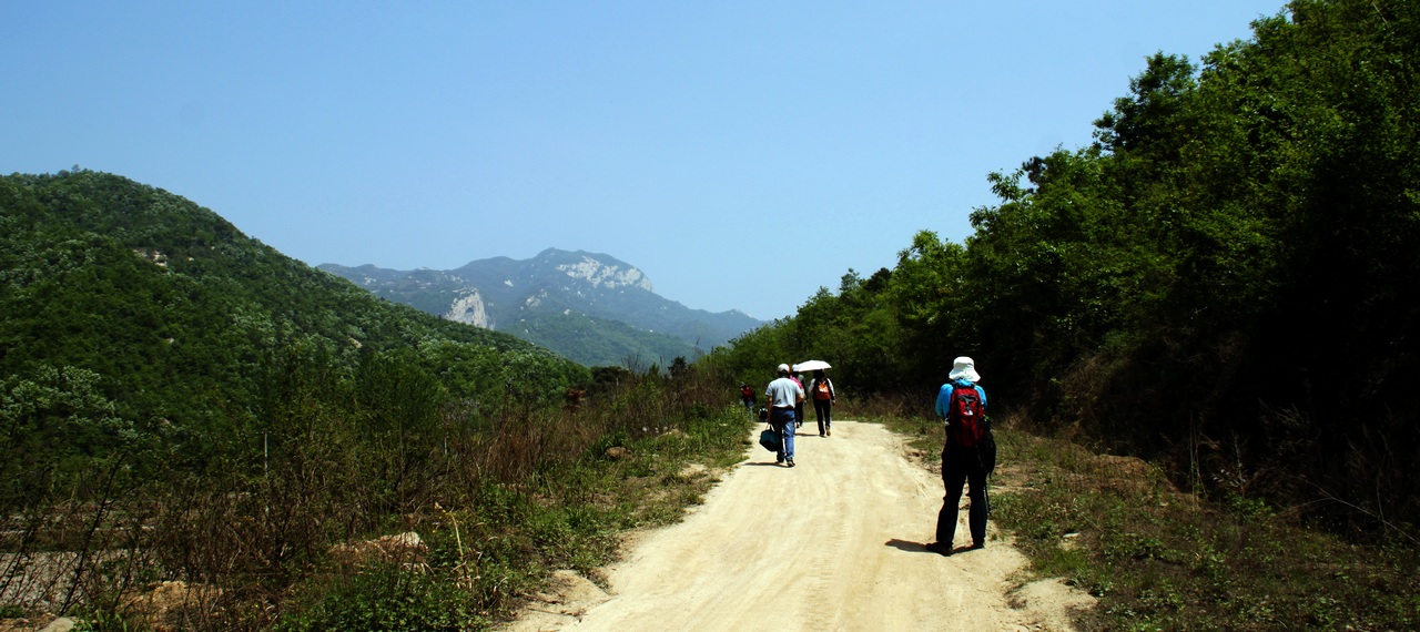 _mg_0005.jpg