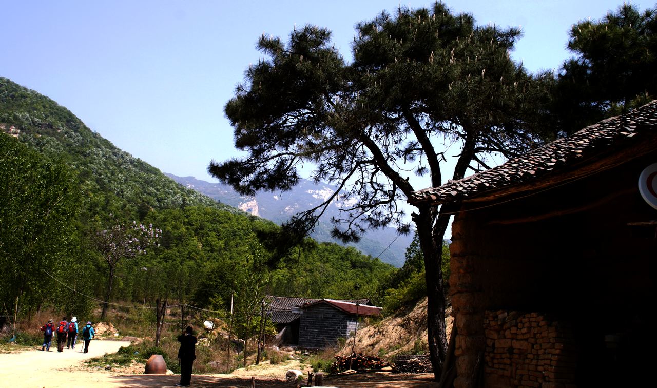 _mg_0007.jpg