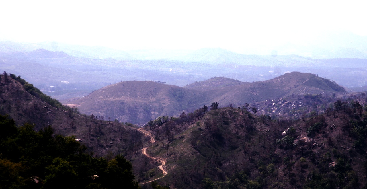 _mg_0072.jpg