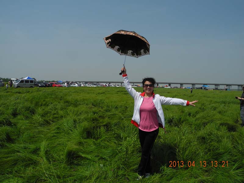 dscn6311.jpg