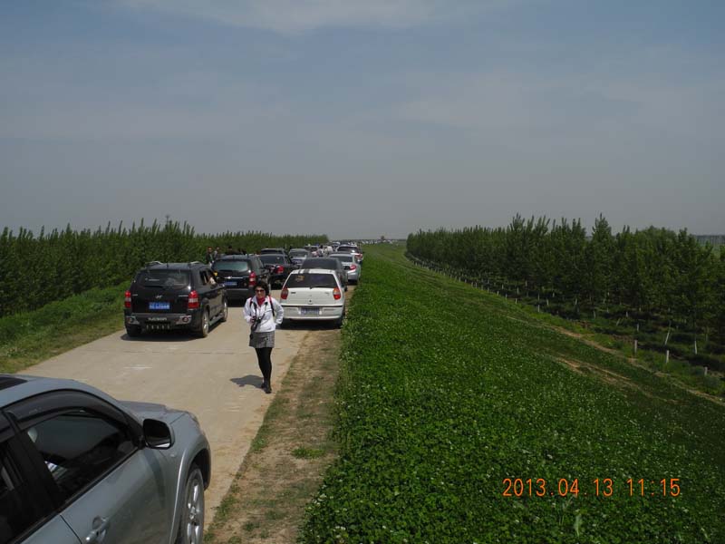 dscn6236.jpg