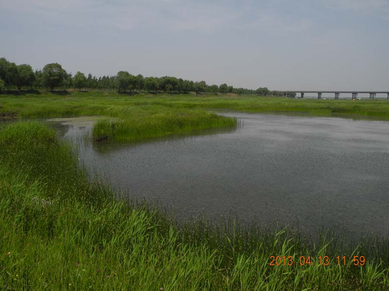 dscn6281.jpg