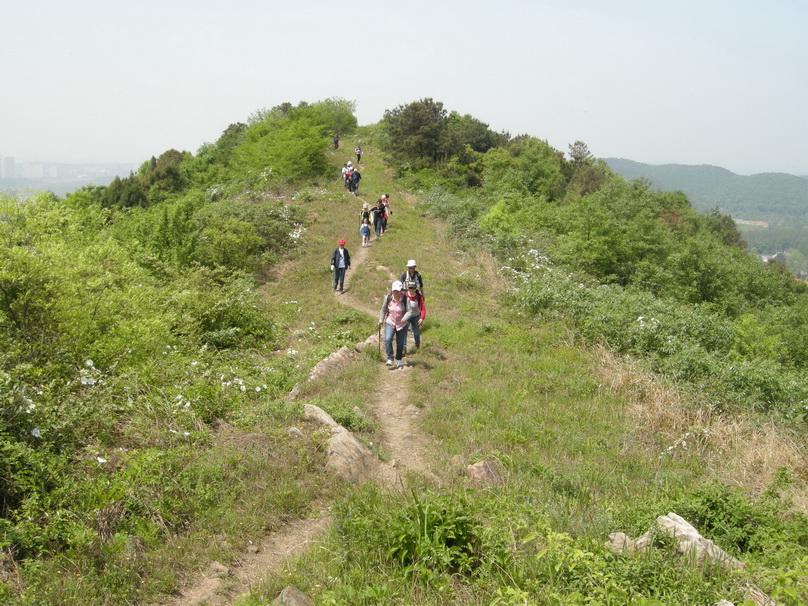 dscn8183.jpg