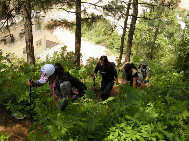dscn8157.jpg