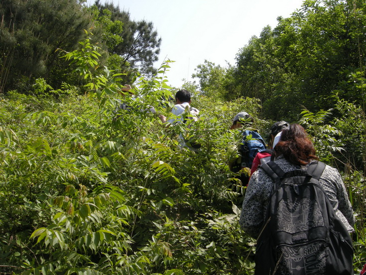 dscn8161.jpg