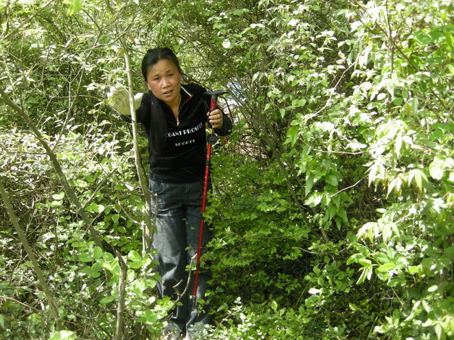 dscn8198.jpg