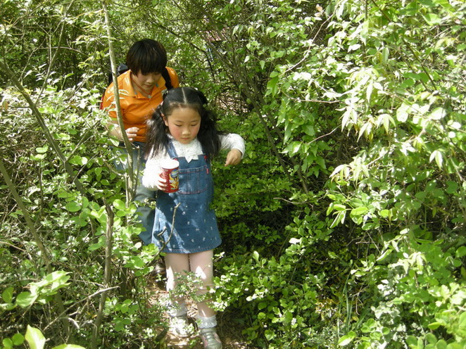 dscn8200.jpg