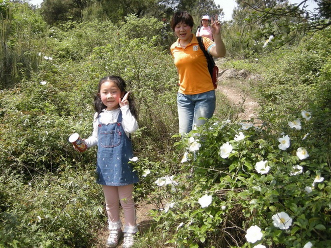 dscn8205.jpg