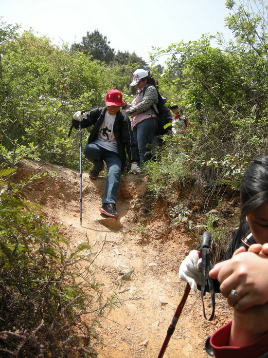dscn8210.jpg