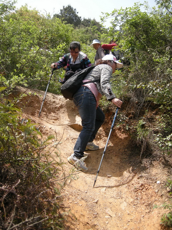 dscn8212.jpg