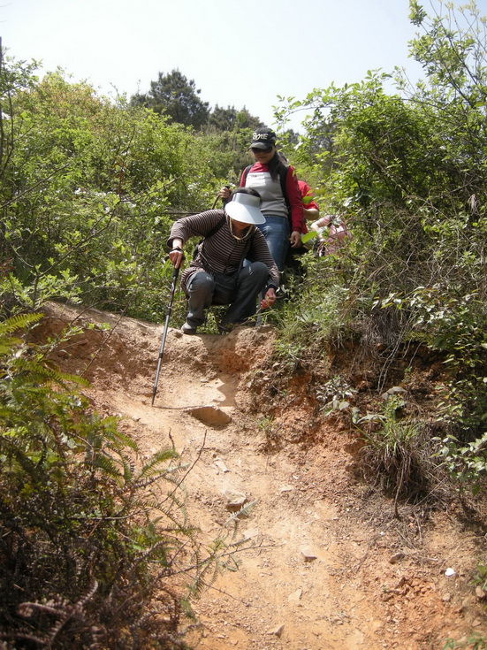 dscn8215.jpg
