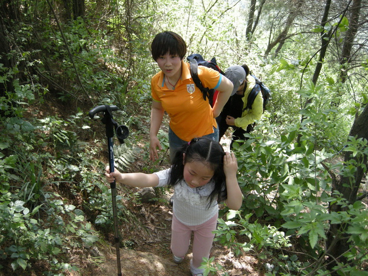 dscn8217.jpg