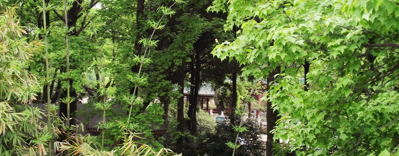 dscf8153.jpg