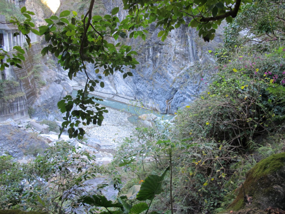 img_1273_.jpg