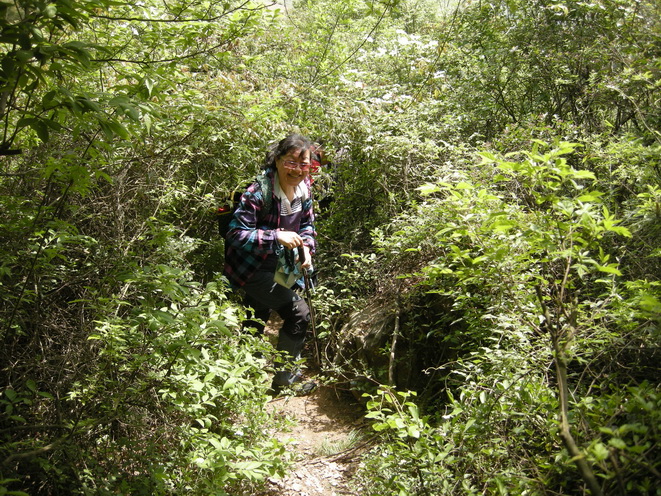 dscn8193.jpg