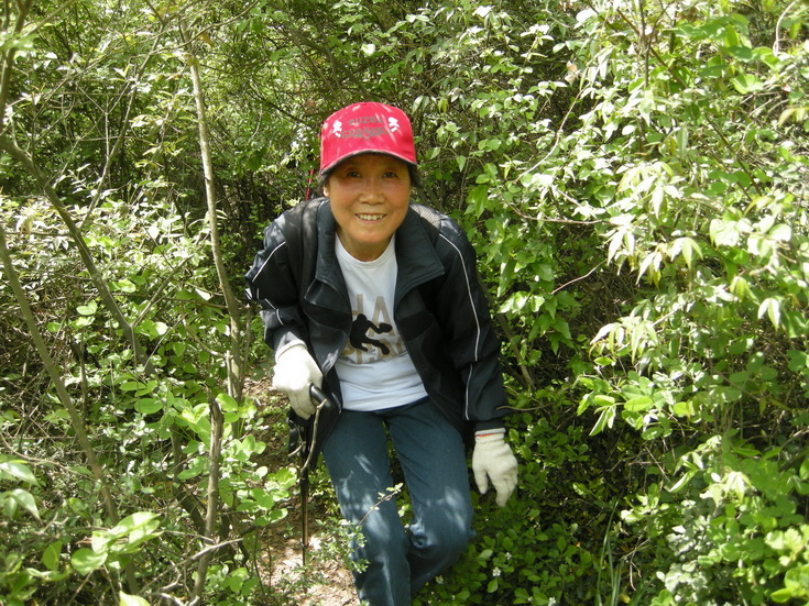 dscn8197.jpg