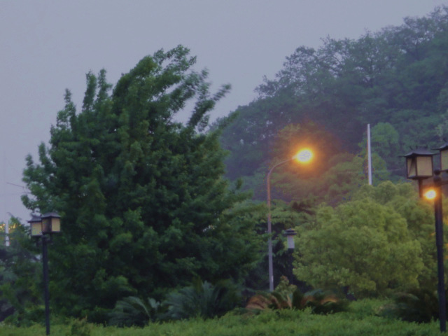 ds;c09633_.jpg
