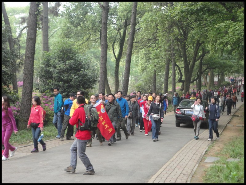 conew_dsc01057.jpg