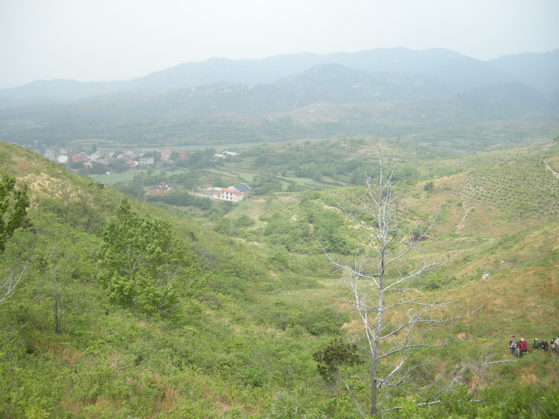 dscn8273.jpg