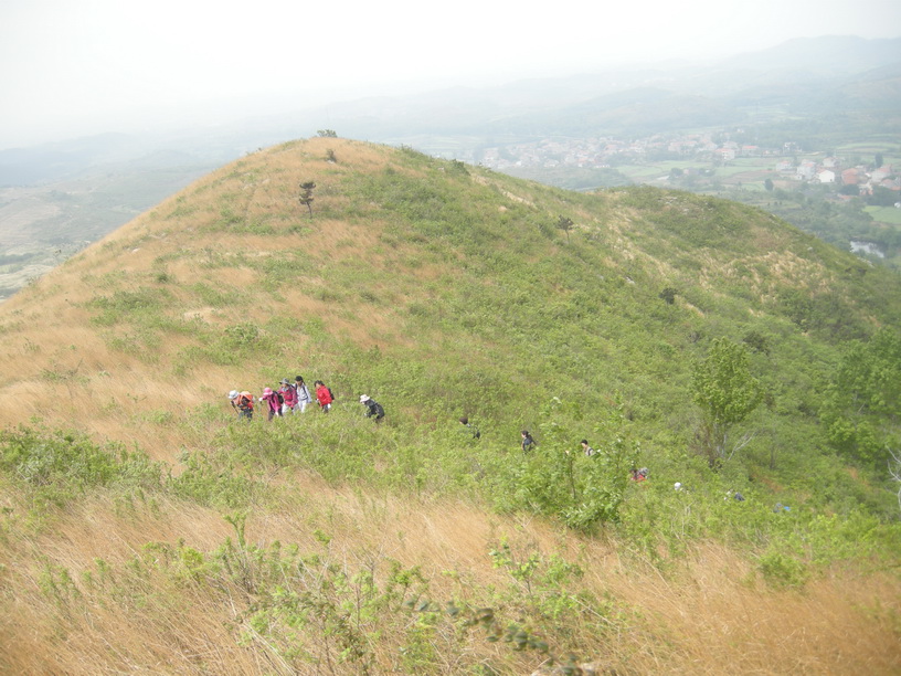 dscn8277.jpg