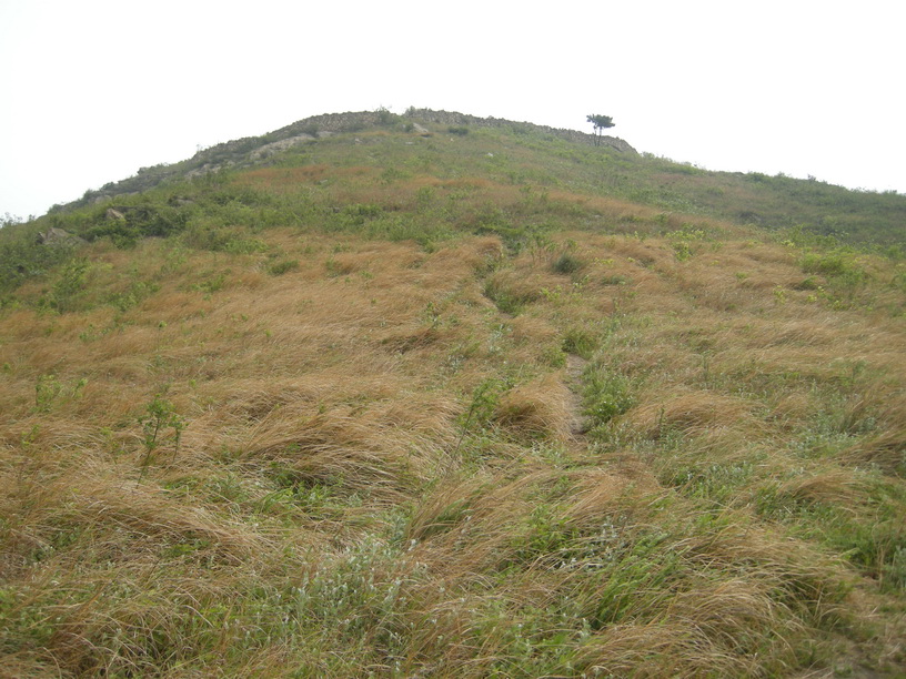 dscn8285.jpg