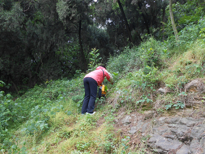 dscn0595.jpg