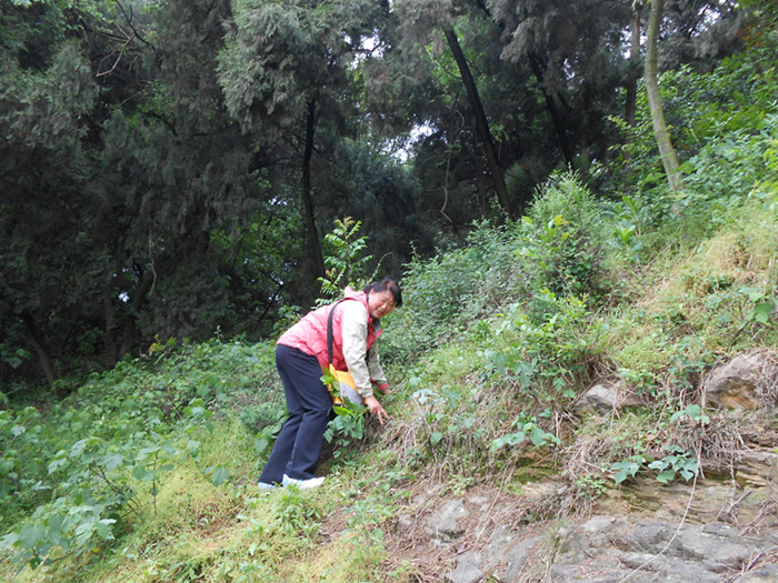 dscn0596.jpg