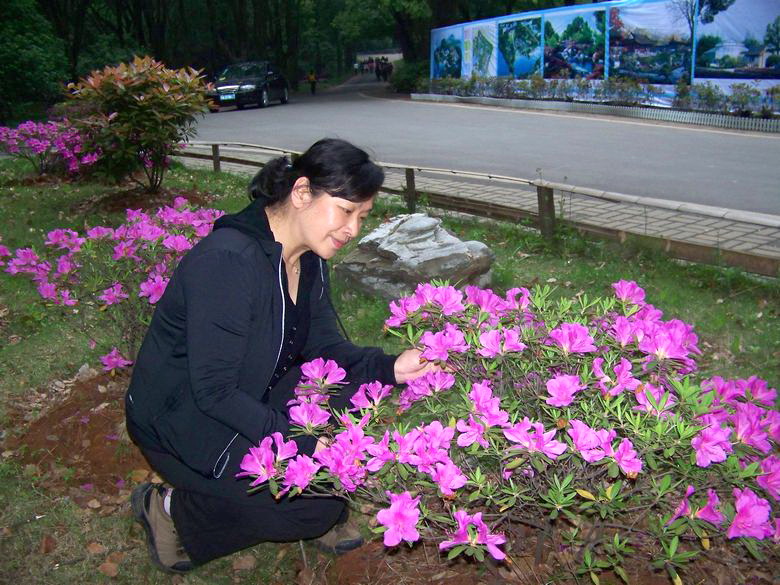 neo_img_100_8874.jpg