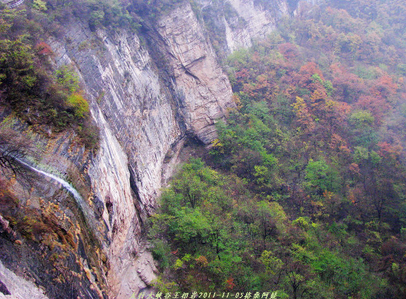 2011ʯҴϿ 1254-1.jpg