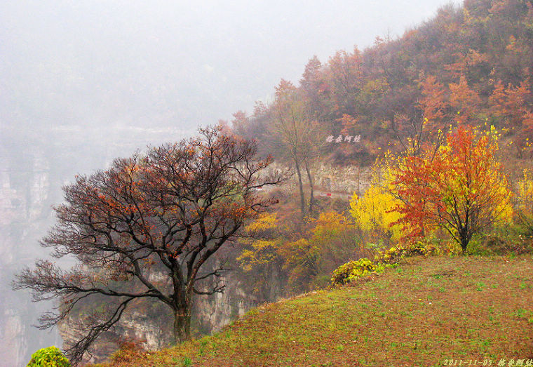 2011ʯҴϿ 1079-1.jpg