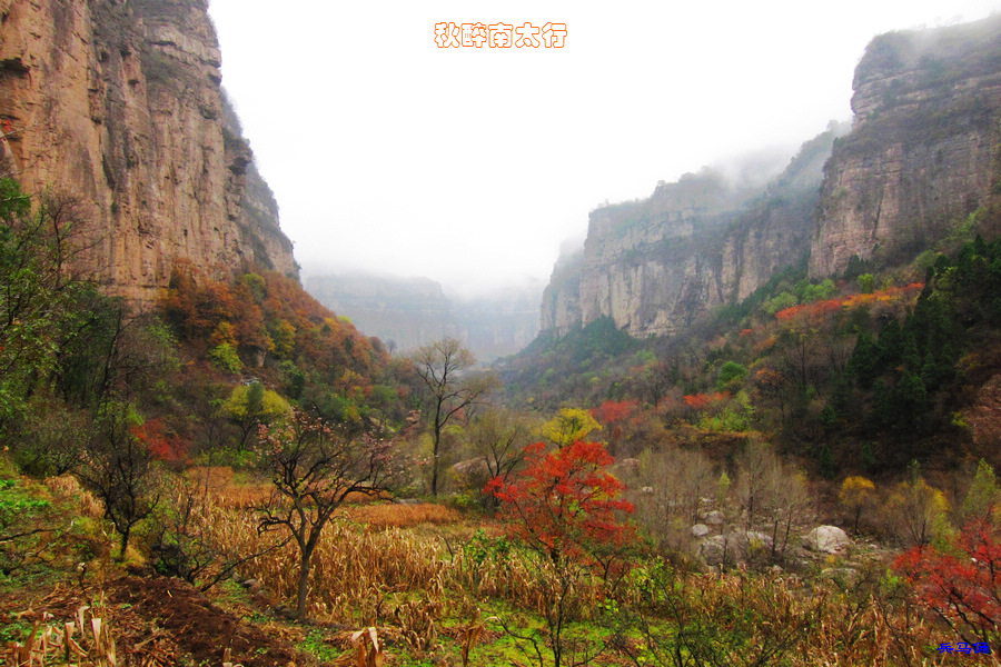 201111117593136181.jpg