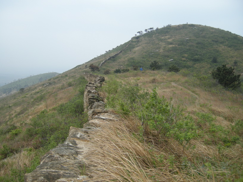 dscn8310.jpg